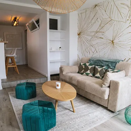 Superbe T2 Avec Jardin + Parking Gratuit A Proximite Daire